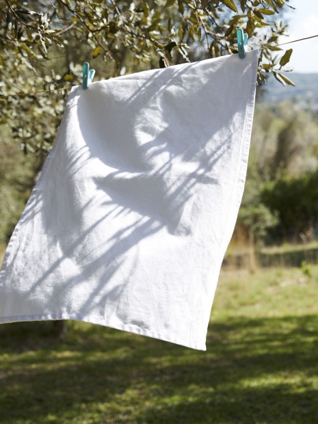Produits éponges à personnaliser WESTFORDMILL TEA TOWEL 