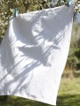 Produits éponges à personnaliser WESTFORDMILL TEA TOWEL 