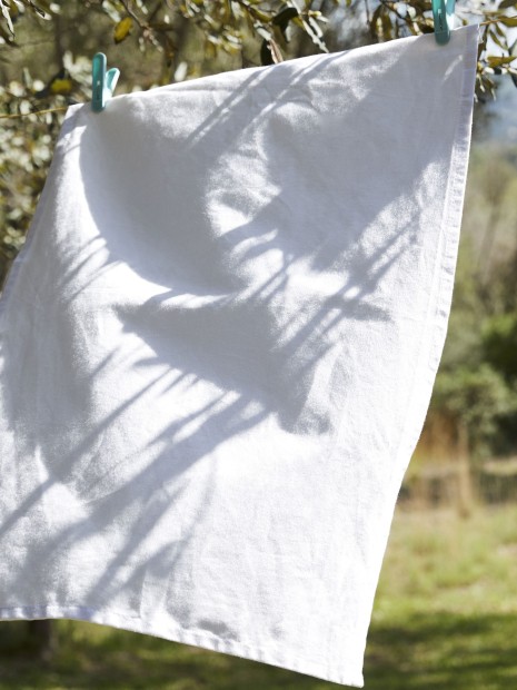 Produits éponges à personnaliser WESTFORDMILL TEA TOWEL 