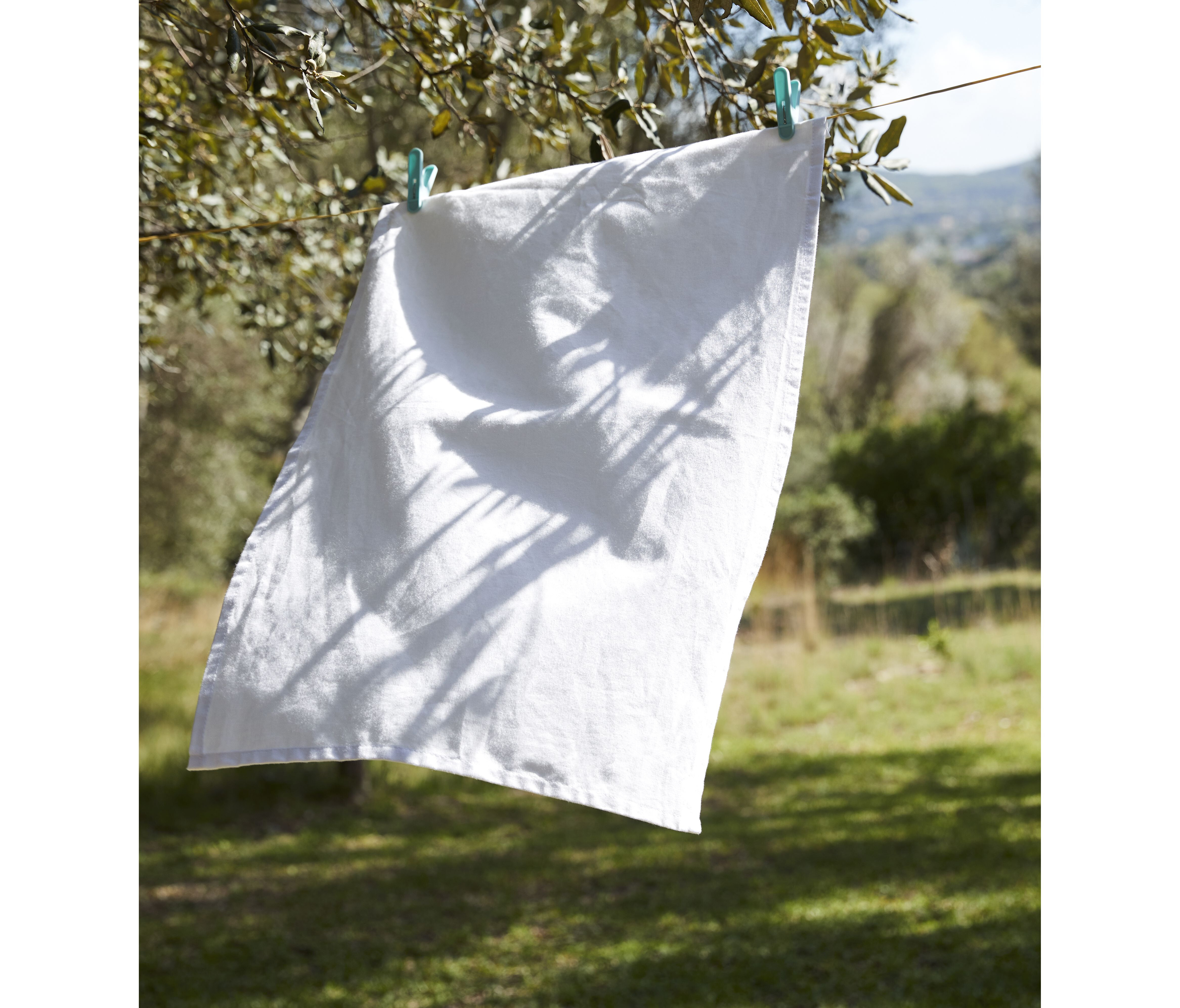 Bad artikelen WESTFORDMILL TEA TOWEL voor bedrukking &amp; borduring