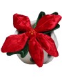 MBW Schmoozies® Evergreenies® Poinsettia Zubehör personalisierbar
