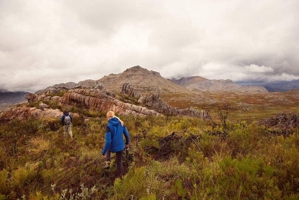 Softshells personnalisable PRINTER Prime 
Veste Softshell Femmes