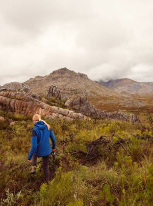 Prime 
Veste Softshell Femmes