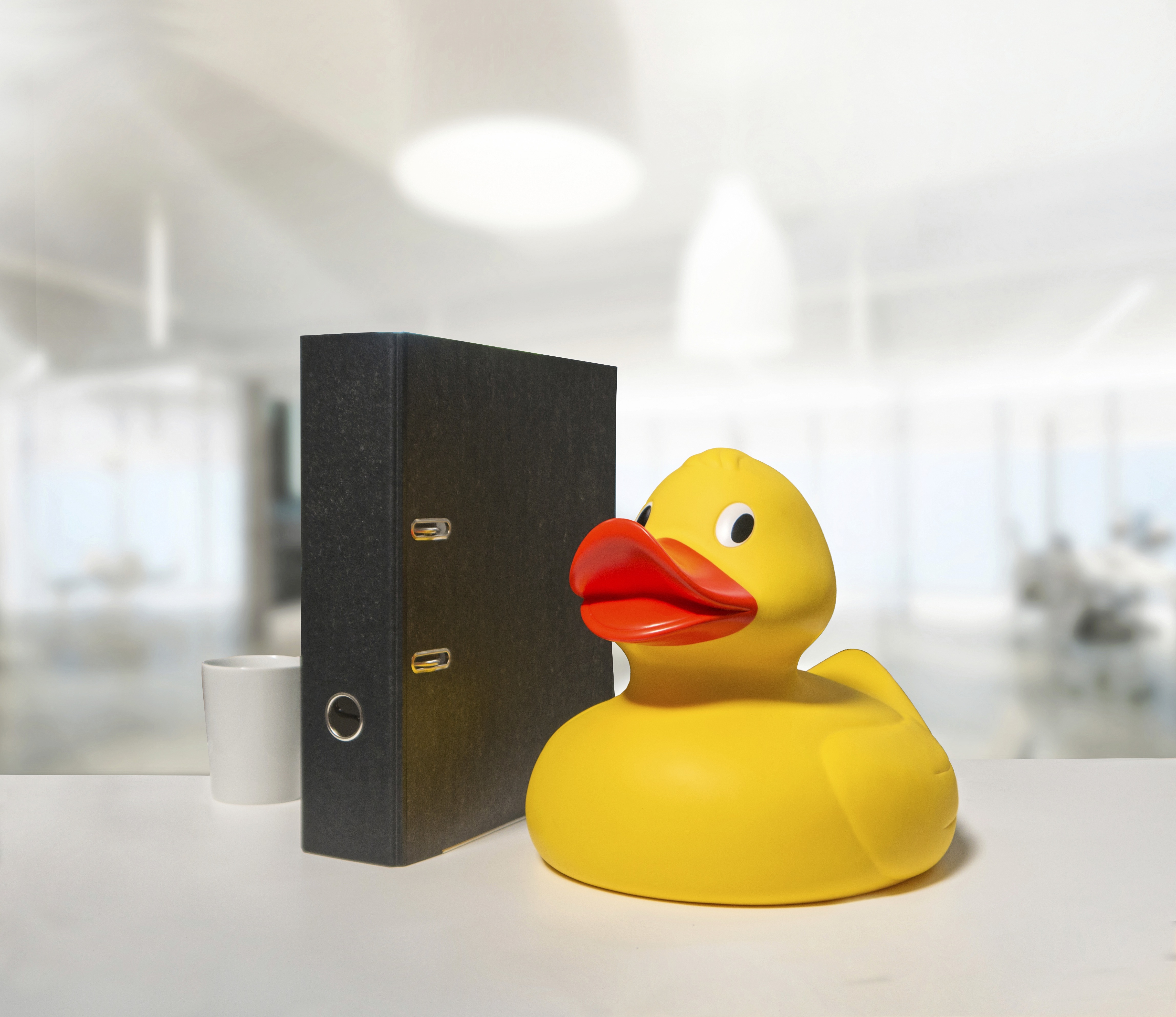 Benodigdheden MBW Schnabels® Squeaky Duck Giant voor bedrukking &amp; borduring
