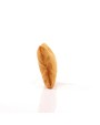 MBW MiniFeet® Dog Toy Bone With Crackle Function Zubehör personalisierbar