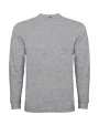 T-shirts ROLY POINTER  voor bedrukking &amp; borduring