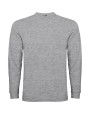 T-shirts ROLY POINTER  voor bedrukking &amp; borduring