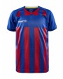 T-shirts CRAFT Progress 2.0 Stripe Jersey Jr voor bedrukking &amp; borduring