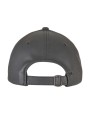 FLEXFIT Synthetic Leather Alpha Shape Dad Cap Kappen personalisierbar