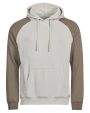 Sweat-shirts personnalisable TEE JAYS UNLABELED TWO-TONE HOODED SWEATSHIRT