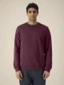 Sweat-shirts à personnaliser STANLEY/STELLA Roller 