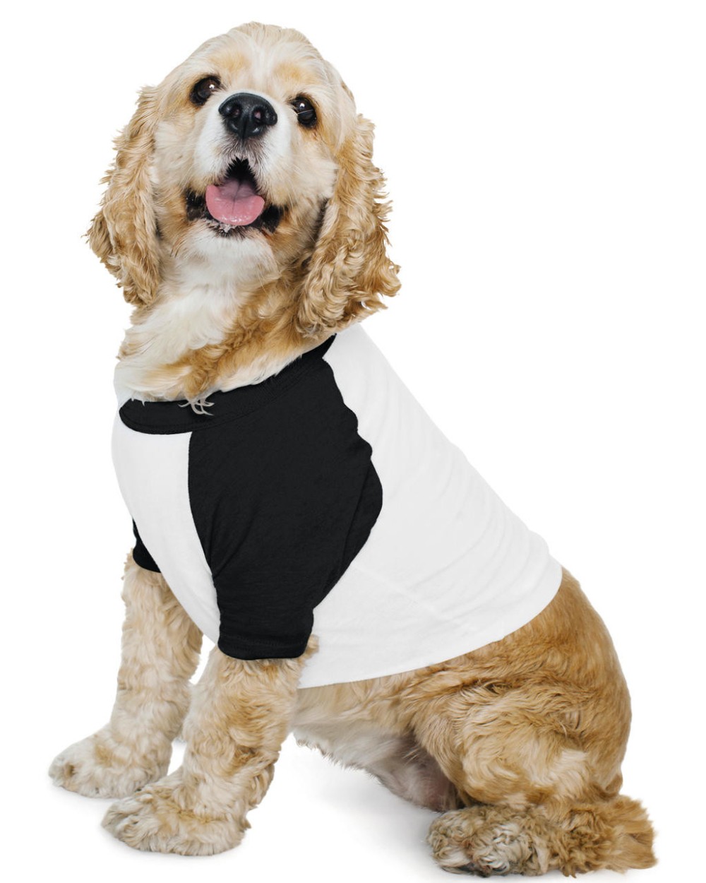 T-Shirts personnalisable AMERICAN APPAREL Dog Poly-Cotton 3/4 Sleeve Raglan T-Shirt