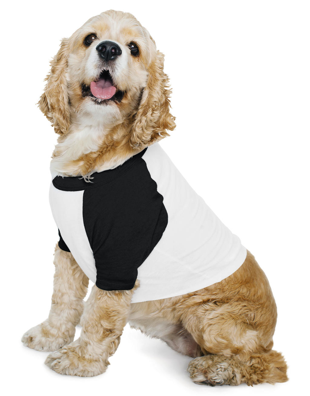 T-shirts AMERICAN APPAREL Dog Poly-Cotton 3/4 Sleeve Raglan T-Shirt voor bedrukking &amp; borduring