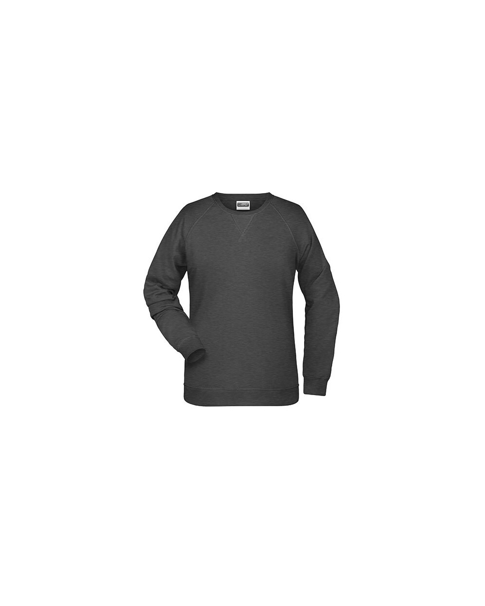 Sweaters & hoodies JAMES & NICHOLSON Ladies` Sweat voor bedrukking &amp; borduring