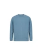 Sweat-shirts personnalisable SKINNIFIT UNISEX SUSTAINABLE FASHION SWEAT