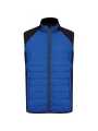 PROACT Veste sport bi-matière sans manches unisexe /api/colors/e6c6ac9f-e4a4-4cf5-8ca6-fd848f911e69 personnalisable