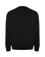Sweaters & hoodies ROLY BATIAN voor bedrukking &amp; borduring