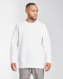 Sweaters & hoodies MANTIS The Sweatshirt voor bedrukking &amp; borduring