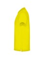 ROLY STAR /api/colors/ea0c172c-722e-46fc-acb7-2617a4097874 personnalisable