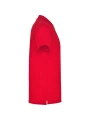 ROLY STAR /api/colors/c953313a-9c9d-493b-934e-ddcf8fada2ae personnalisable