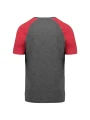PROACT T-shirt triblend bicolore sport manches courtes unisexe /api/colors/181ca499-6734-45f3-b8b8-04782a40b19a personnalisable