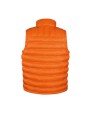 Vestes personnalisable RESULT ICE BIRD PADDED GILET