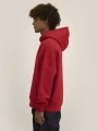 Sweat-shirts à personnaliser STANLEY/STELLA Chaser 