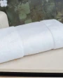 Bad artikelen TOWEL-CITY ORGANIC BATH SHEET WITH PRINTABLE BORDER voor bedrukking &amp; borduring
