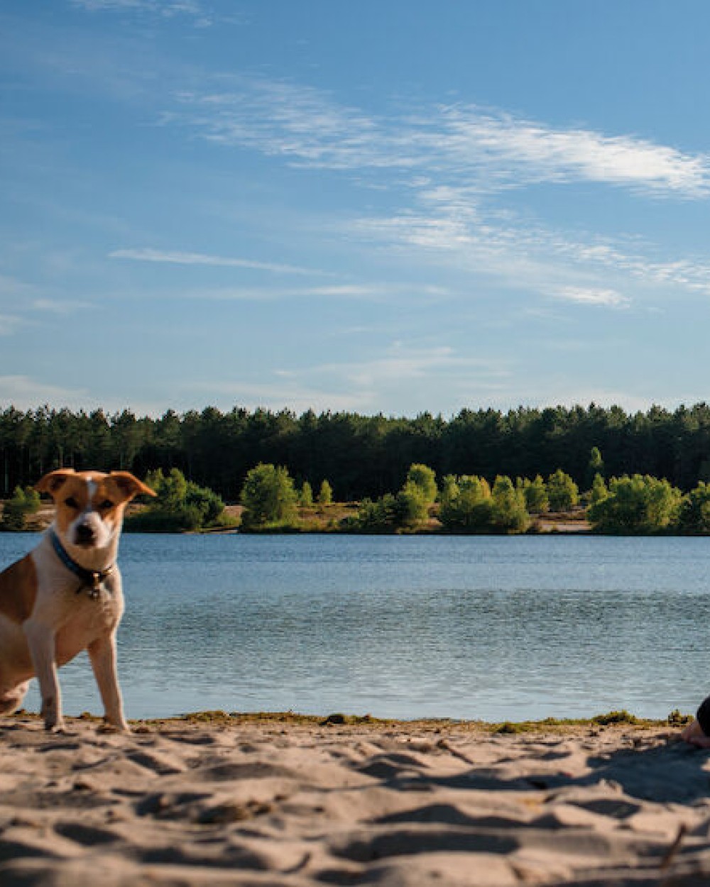 Broeken JAMES-HARVEST Officer
Broek Heren voor bedrukking &amp; borduring