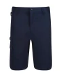 Bermudas & Shorts personnalisable REGATTA Pro Cargo Shorts