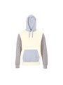 SOL'S Unisex Collins Hooded Sweatshirt /api/colors/e4673c21-e8cb-492b-aa0c-b227b8618401 personnalisable