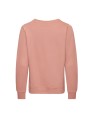AWDIS WOMEN'S AWDIS SWEAT /api/colors/bb5bfcf0-9de6-4b64-bdde-2b4d9c51d52e personnalisable