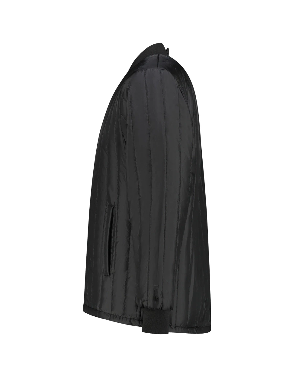 Accessoires personnalisable TRICORP Blouson D'Interieur Thermo
