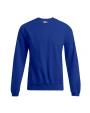 Sweat-shirts personnalisable PROMODORO Sweater 80/20