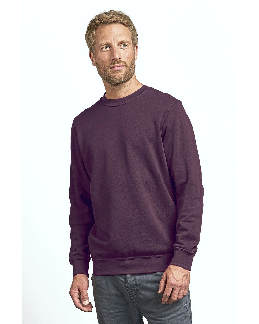 Sweat-shirts personnalisable PROMODORO Sweater 80/20