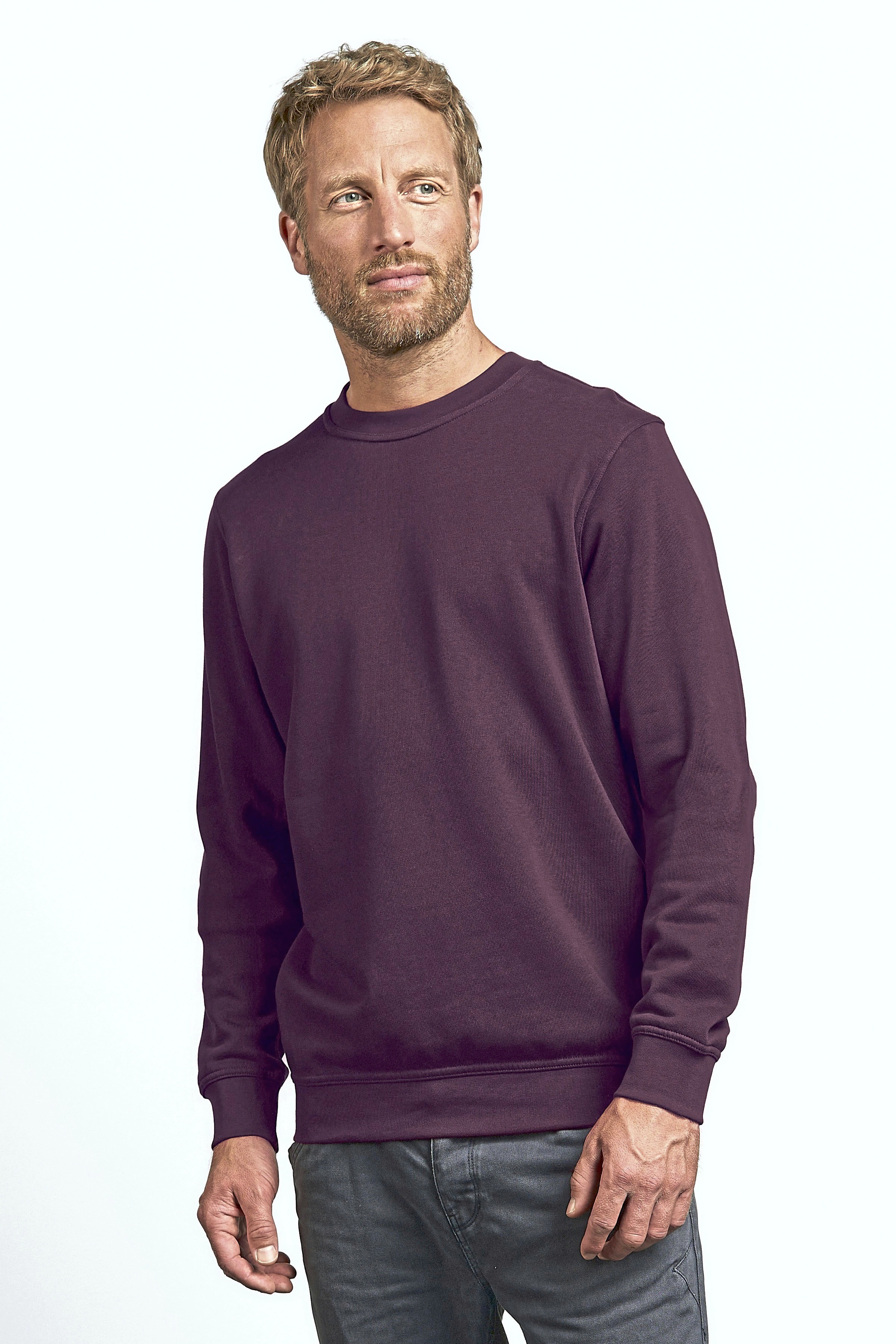 Sweat-shirts personnalisable PROMODORO Sweater 80/20