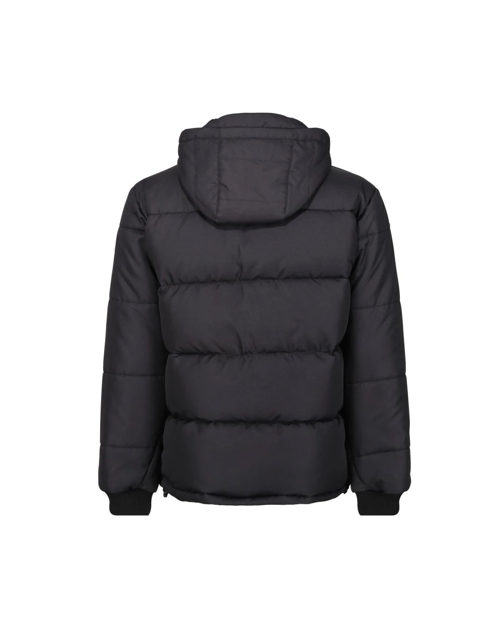 Vestes personnalisable REGATTA NORTHDALE INSULATED JACKET