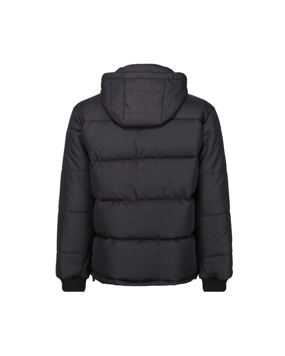 Vestes personnalisable REGATTA NORTHDALE INSULATED JACKET