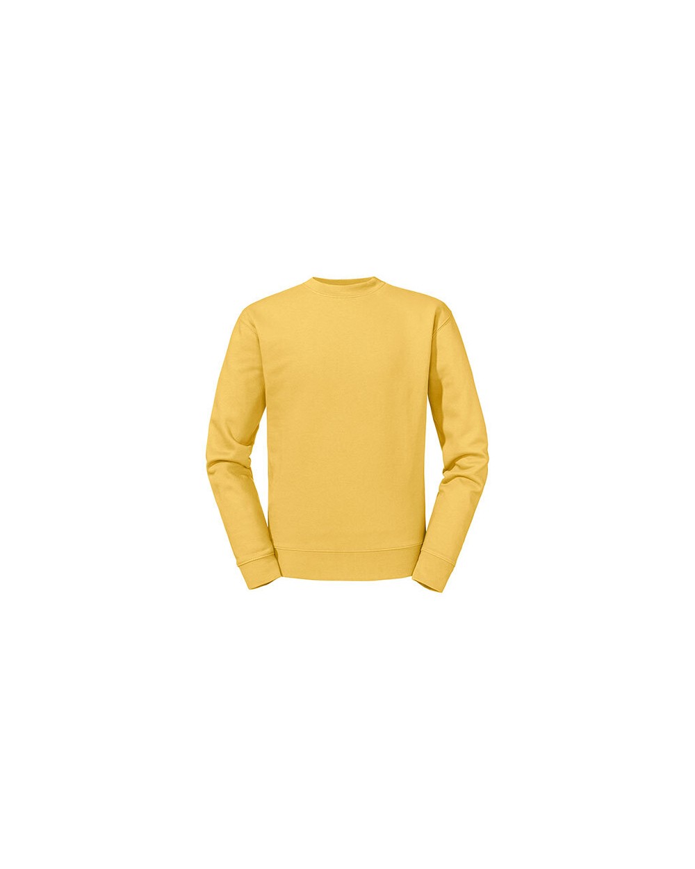 Sweat-shirts personnalisable RUSSELL Sweat-shirt col rond Authentic