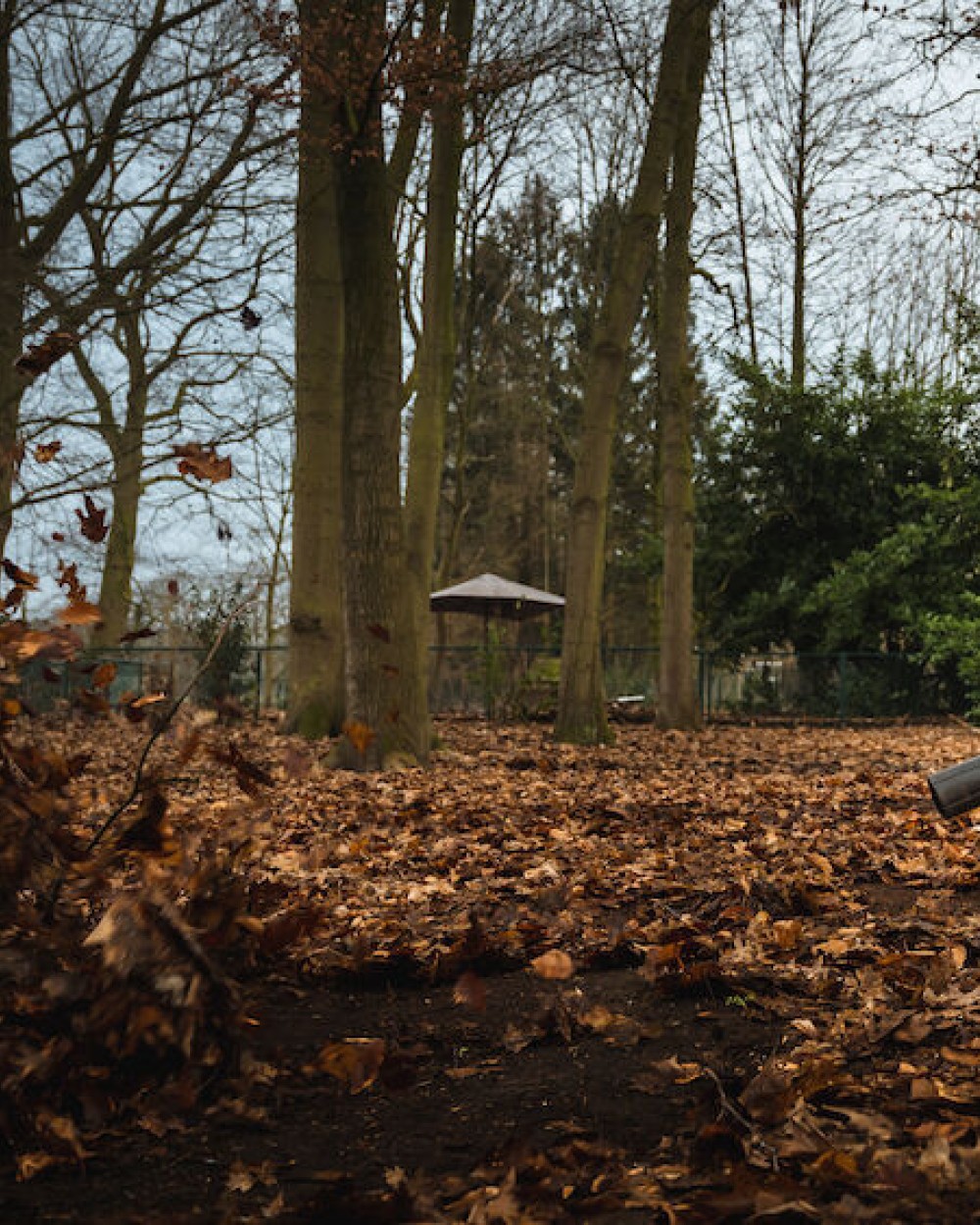 Softshells personnalisable PROJOB 3702 BODYWARMER SOFTSHELL PRIO BICOLORE