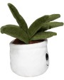 Benodigdheden MBW Schmoozies® Evergreenies® Aloe Vera voor bedrukking &amp; borduring