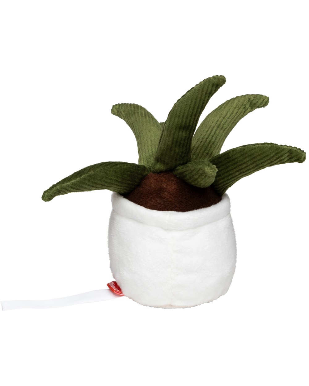 Accessoires personnalisable MBW Schmoozies® Evergreenies® Aloe Vera
