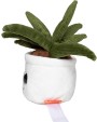 MBW Schmoozies® Evergreenies® Aloe Vera Zubehör personalisierbar