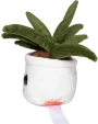 Benodigdheden MBW Schmoozies® Evergreenies® Aloe Vera voor bedrukking &amp; borduring