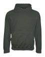 Sweaters & hoodies AWDIS COLLEGE HOODIE voor bedrukking &amp; borduring
