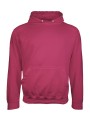 AWDIS COLLEGE HOODIE /api/colors/49f0316f-a1db-4b4e-a573-1d08b949fb72 personnalisable