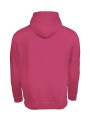 AWDIS COLLEGE HOODIE /api/colors/49f0316f-a1db-4b4e-a573-1d08b949fb72 personnalisable