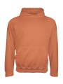 AWDIS COLLEGE HOODIE /api/colors/78d9ce22-0178-4b2b-b6bb-bd3544ff4d15 personnalisable
