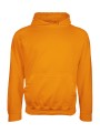 AWDIS COLLEGE HOODIE /api/colors/53b27ff1-f5d6-4f63-8ef7-5377adf5ec97 personnalisable