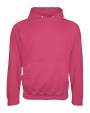 Sweat-shirts personnalisable AWDIS COLLEGE HOODIE